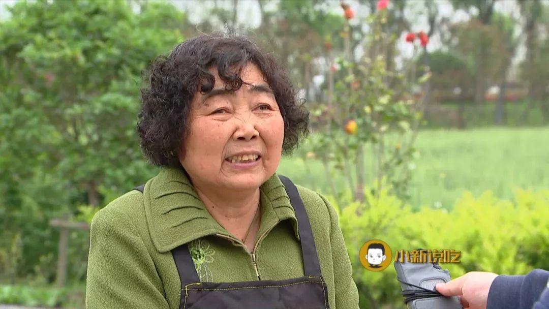 嘉兴滋味:野米饭