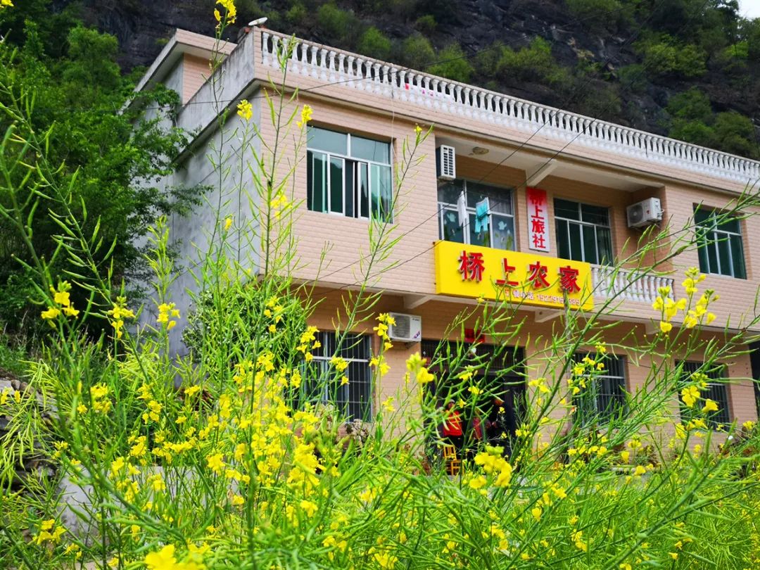 走进陕西的香格里拉安康旬阳水泉坪