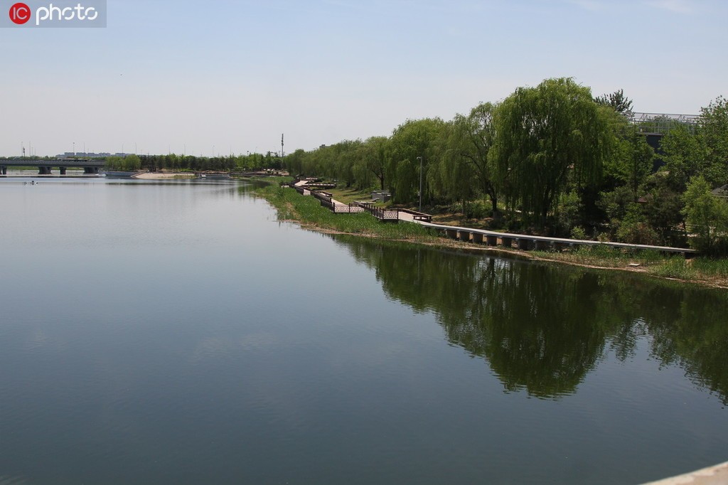 北京永定河春季补水进行中 晓月湖初夏景如画