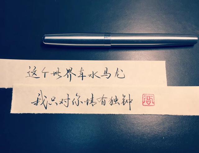 这个世界车水马龙我只对你情有独钟