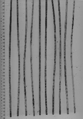 厉害了!荆州新出楚汉简牍被公布为"考古中国"重大项目
