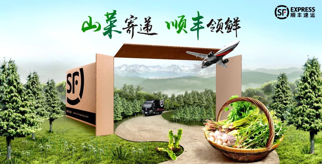 山菜寄递,顺丰领鲜美味山珍,叫顺丰来一份别对着手机舔屏啦山菜寄递
