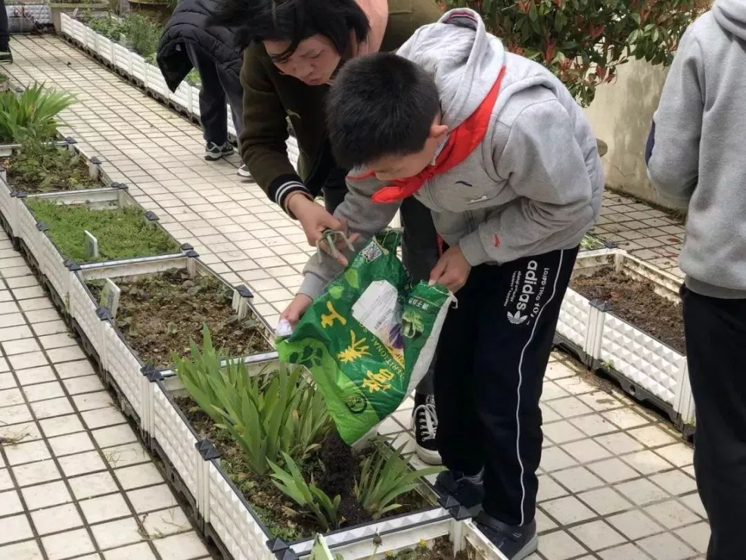 学生们设计布置中草药基地,调查光照环境,组装花盆沈家门第四小学中