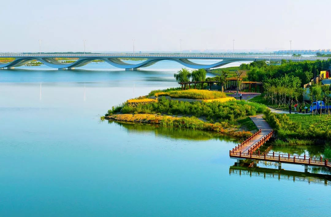 天津生态城最大的公园图片