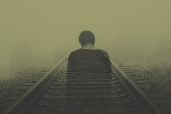 迷惘与愚痴山林子自然道德慧智教育诗