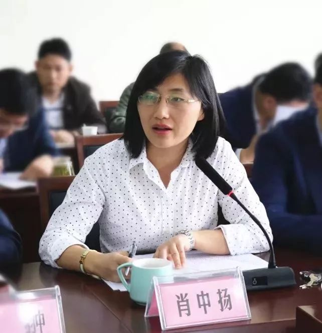 镇党委副书记肖中扬主持会议副镇长高超总结环境卫生大整治攻坚行动面