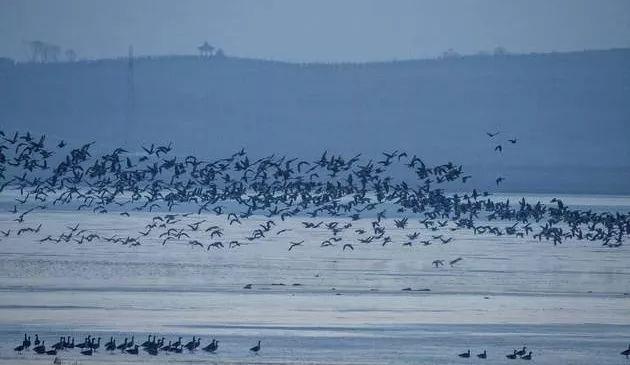 意居民居在汉寿县岩汪湖镇寻访初夏的西洞庭湖