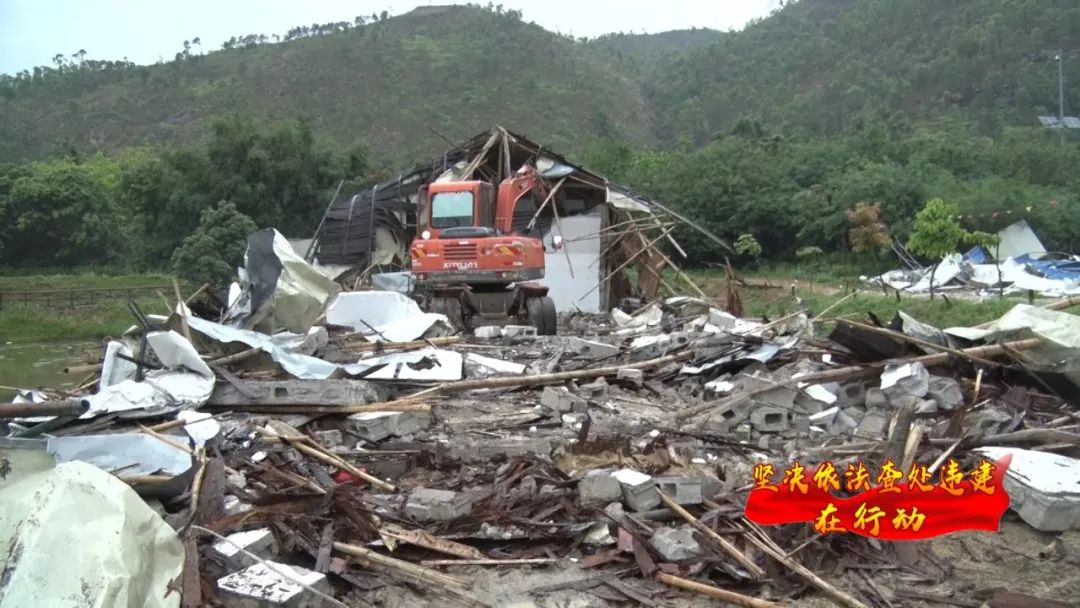 海丰县各地打响"两违"整治拆除行动战_黄羌镇