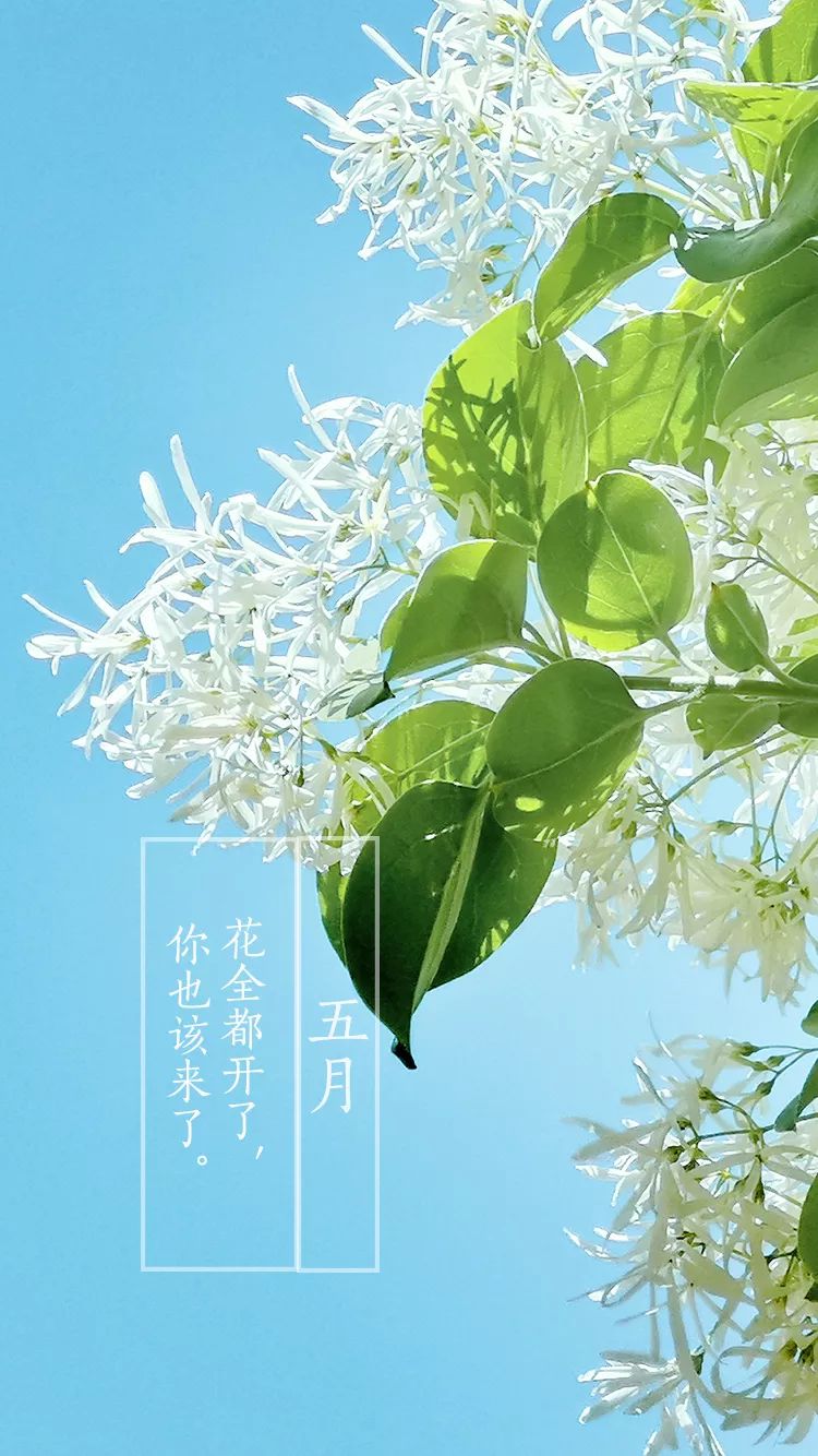 春似去,夏已至,五月你好!