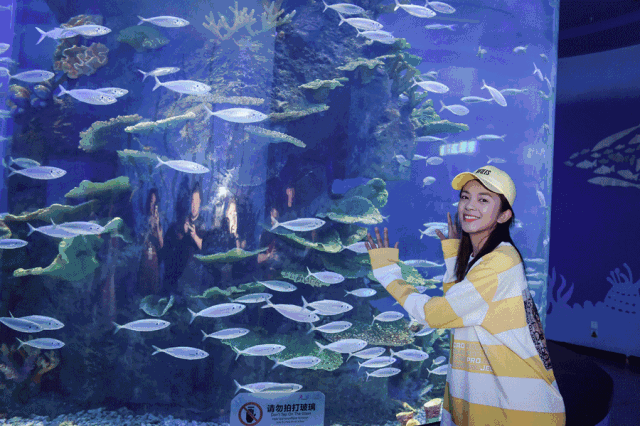 五一精彩回顾万人见证谈莉娜献唱2019炫彩大地飞歌选拔赛启动仪式在