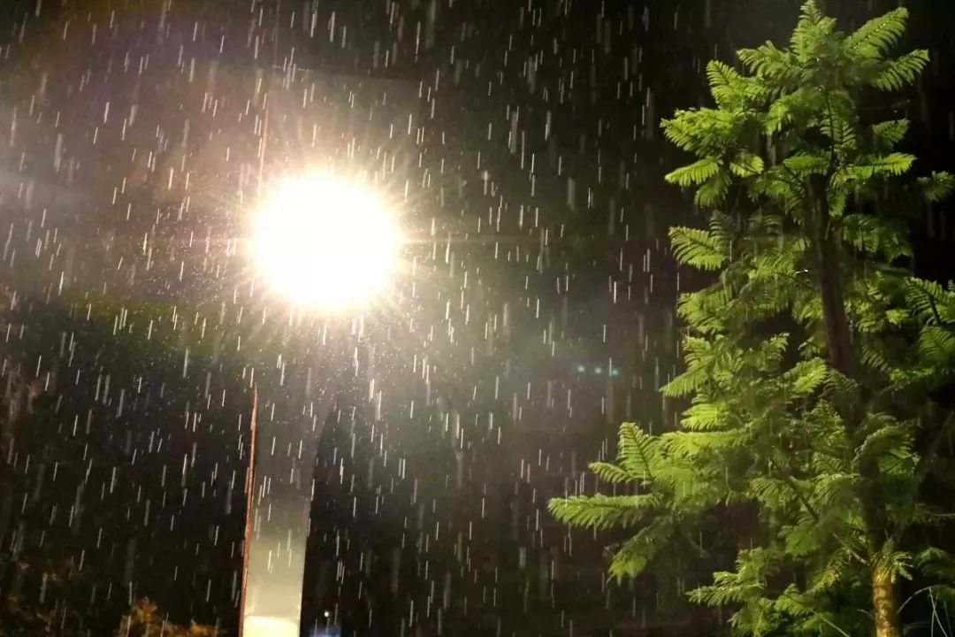 四川的夜雨不期而至,静涩中带有一些诗意.