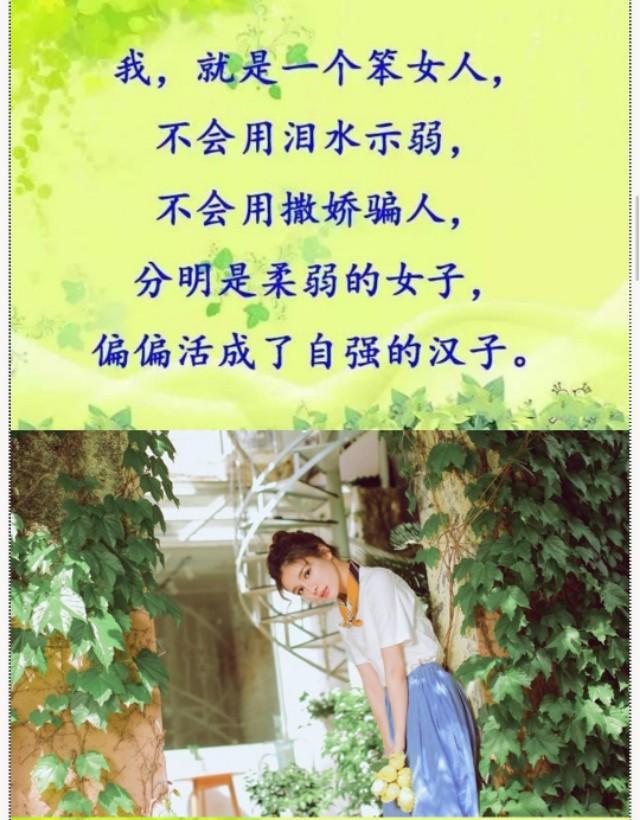 我只是个女人再温柔也需要有人懂再坚强也希望有人疼