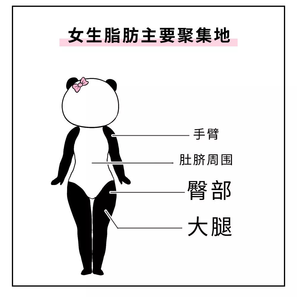 科普大揭秘 | 為什麼男生的腿比女生的細?