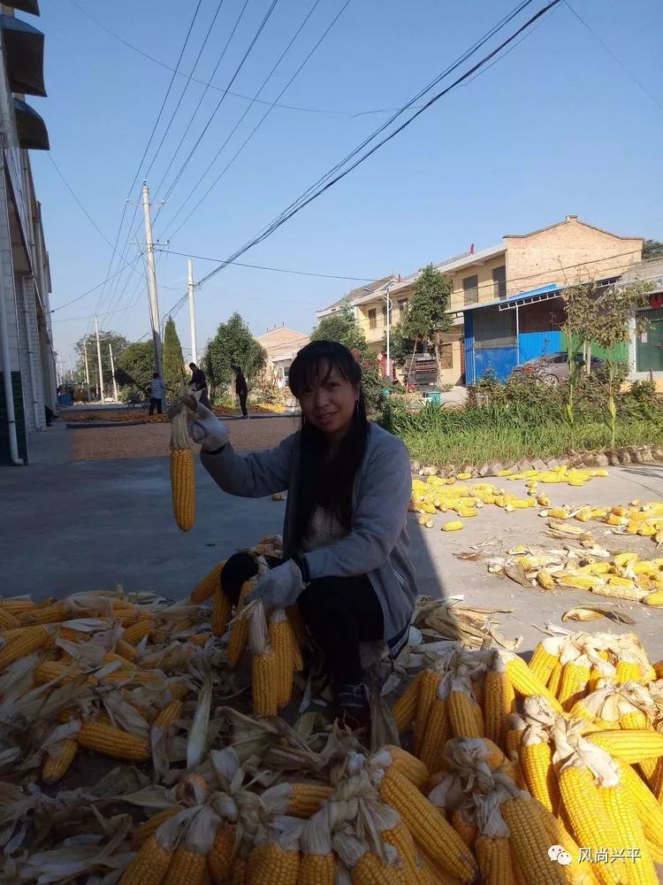 一位平凡的兴平女人