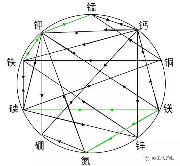 比如硼的吸收利用率低