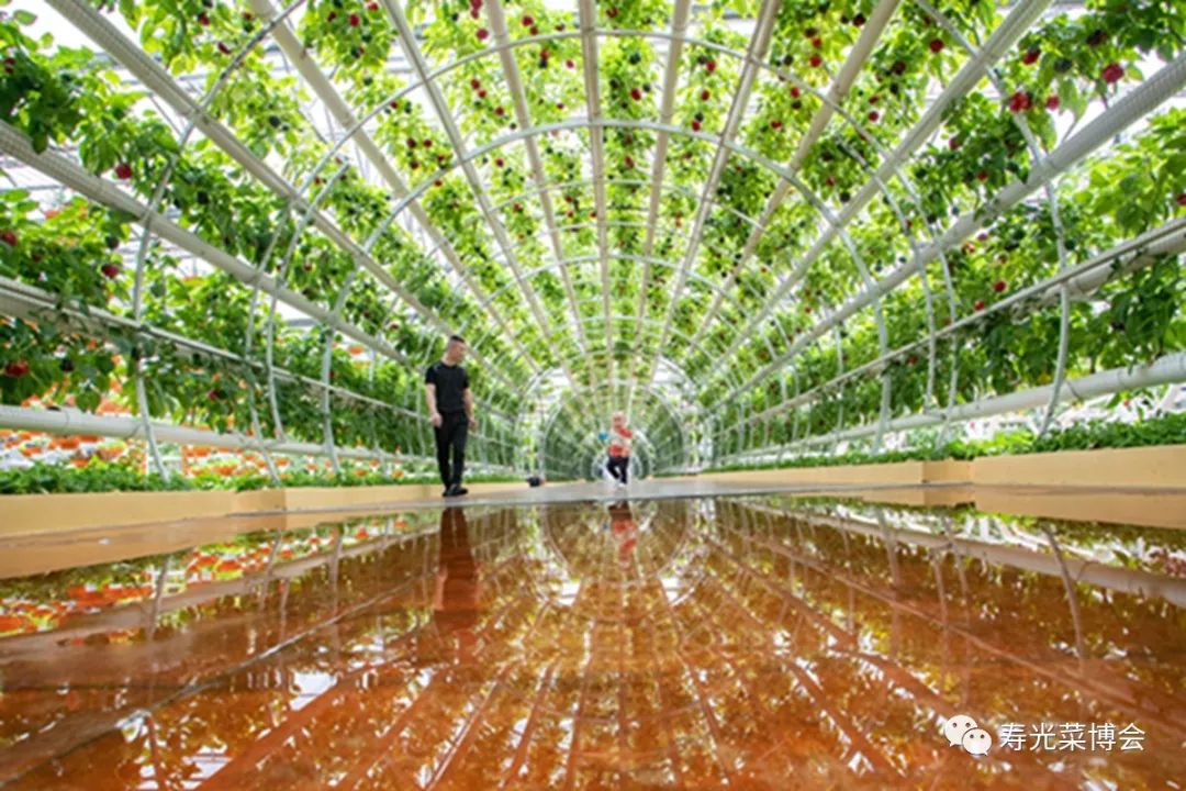 摄影大师眼中的菜博会一起来欣赏
