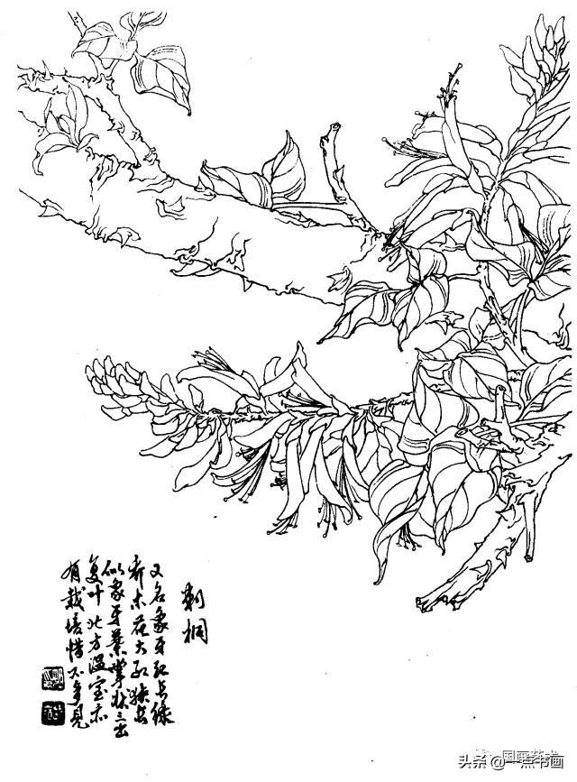 刺桐芍药二月梅桃花水仙银柳