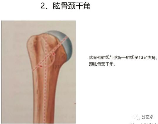 6,肘关节正常角度与骨折后活动角度及huter线与huter角;7,提携角;8