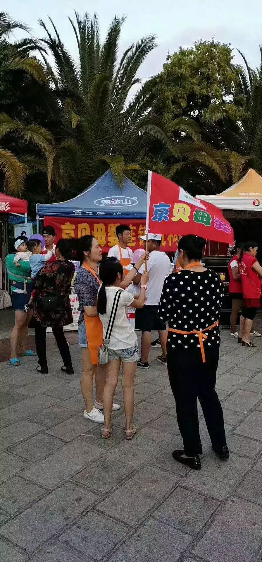 明日在行动61石林京贝母婴爱思诺名作奶粉地推活动圆满结束