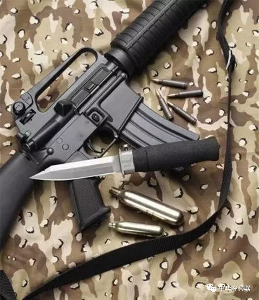 一把匕首的自我承诺:毙命任何生物只需一刀