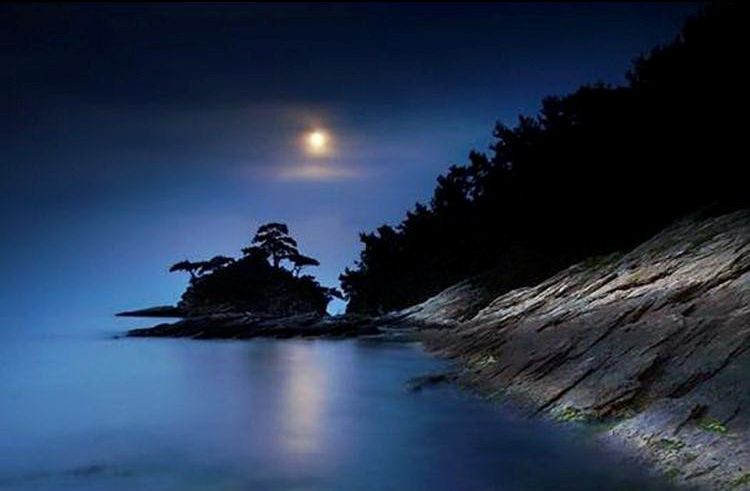 《河边与月相爱》 || 文/者旭江_月色