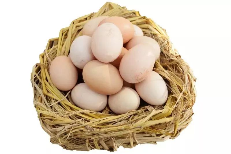 江根乡丨浪漫仙岩杜鹃花唇齿留香xian菜茶你约吗