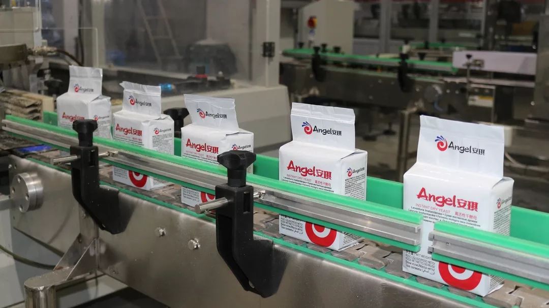 安琪酵母赤峰有限公司招聘公告