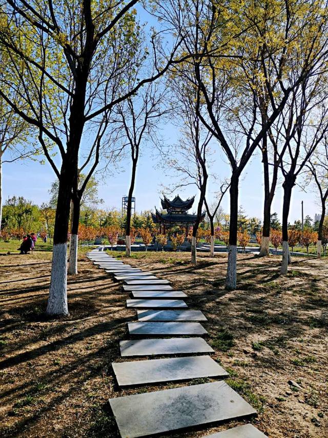 图说中国:德州平原琵琶湾公园景色
