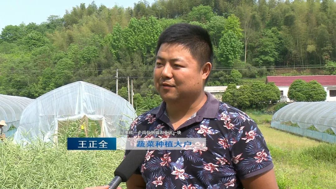 蔬菜种植大户王正全"他是学医学方面的吗,从那样一个岗位到搞农业这一