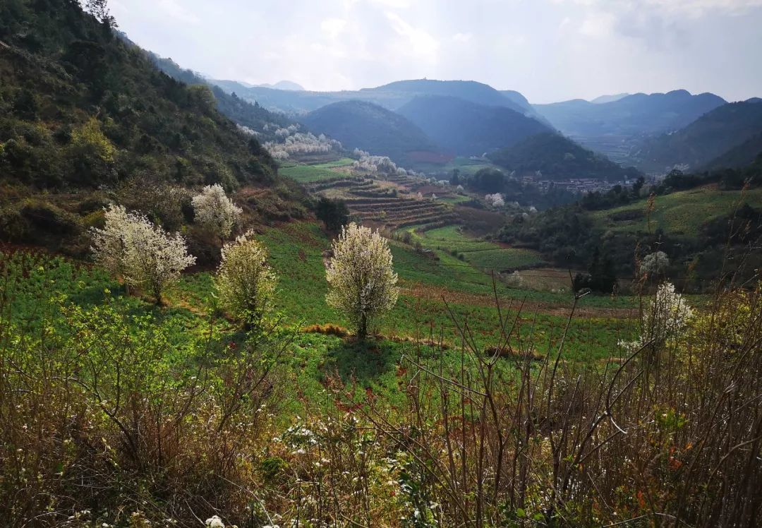 原创云南深山有个美丽的村庄鸟语花香依山傍水宛如世外桃源般