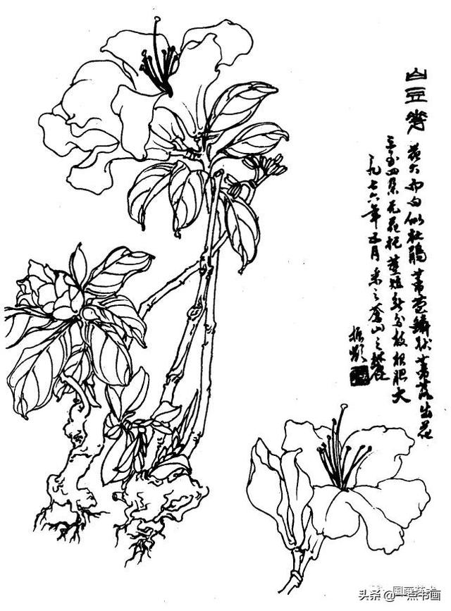 軨ͼ()_
