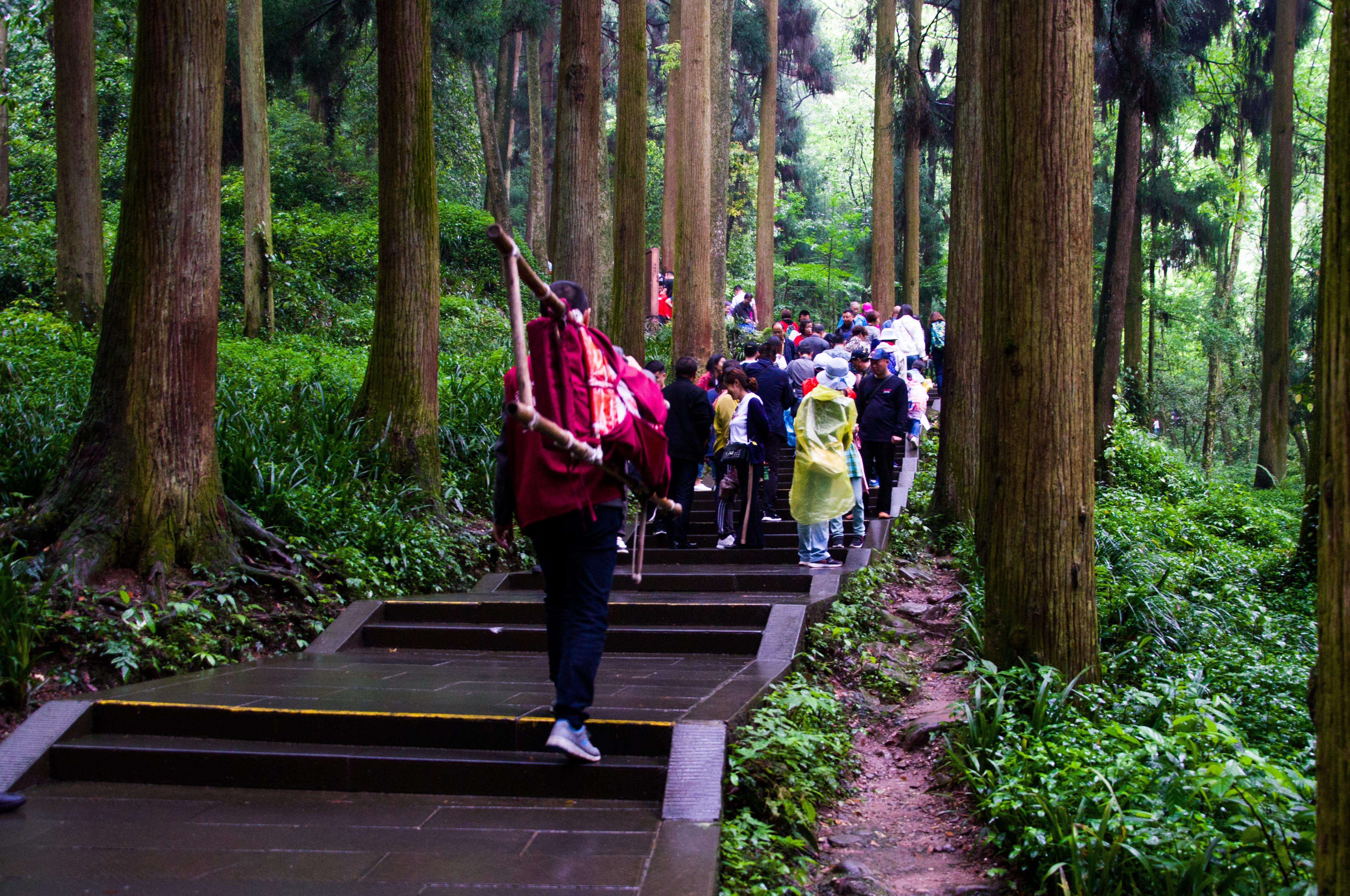 青城山爬山图片