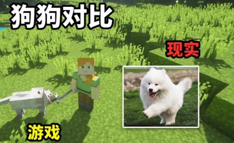 我的世界游戏与现实的碰撞模仿mc搭建筑问题是该如何下来