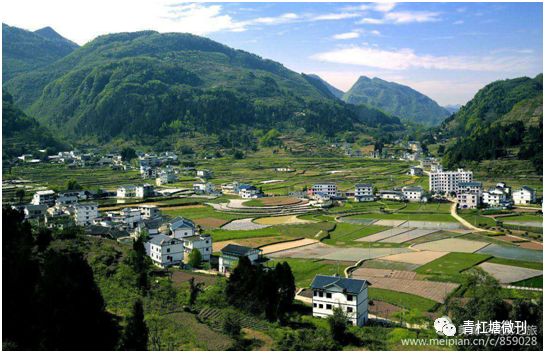 青杠塘镇稻花鱼开启订单认购安排
