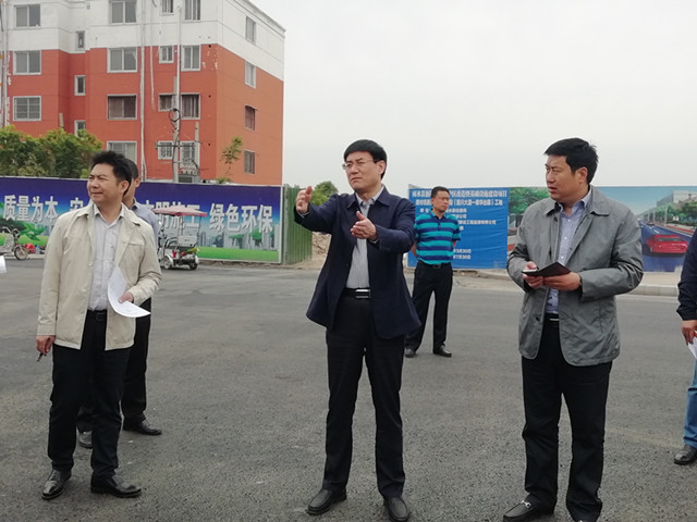 县长田林带队观摩我县重点推进项目