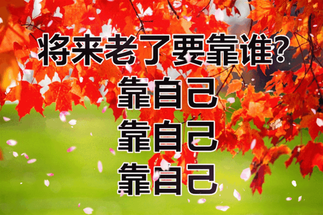 640_427gif 动态图 动图