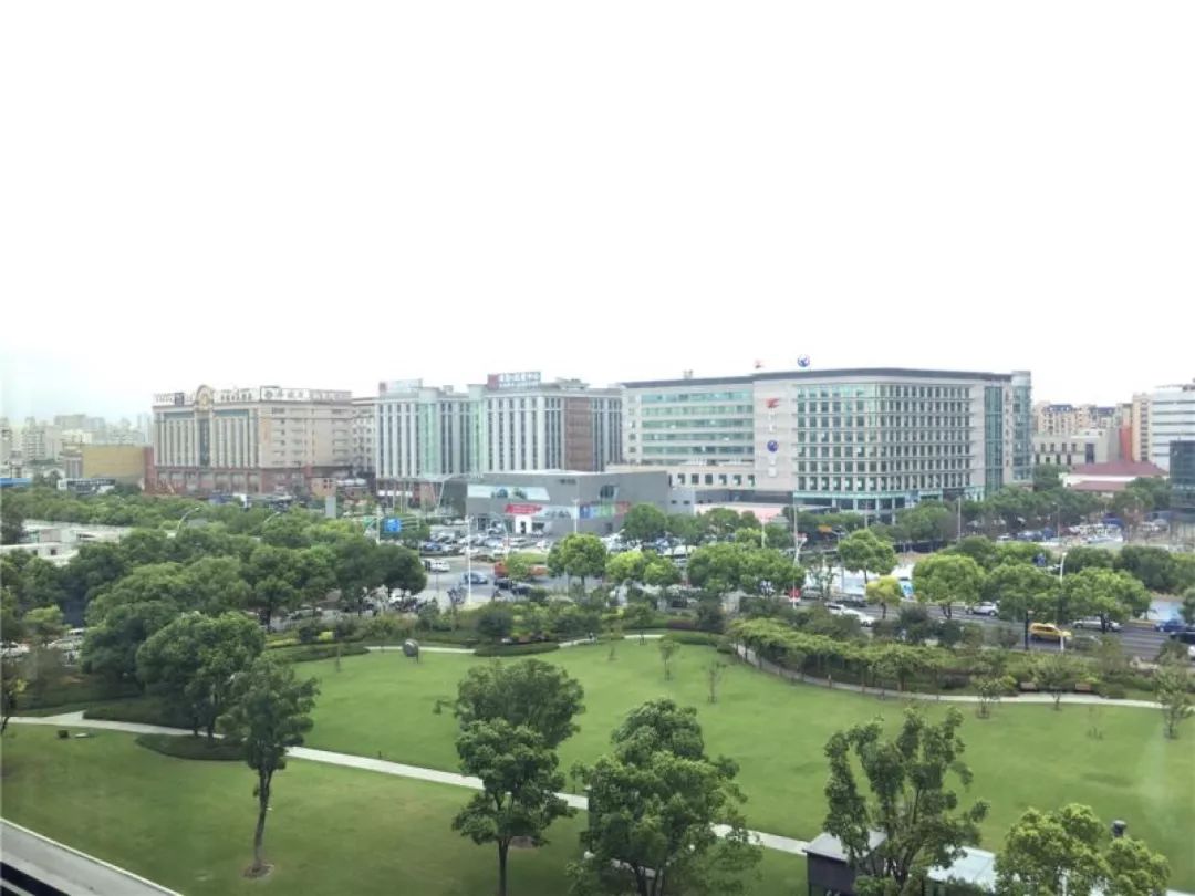 莱茵虹景繁华之央的绿野仙踪