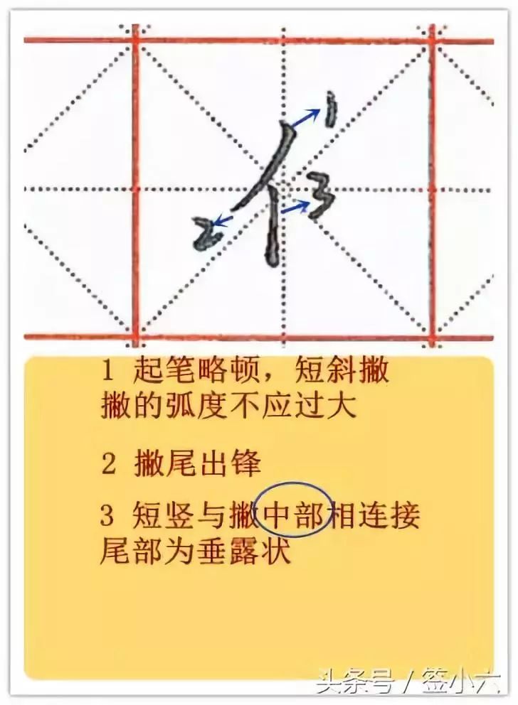 干货中性笔练字笔画示意图