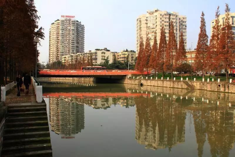 五丁桥啊五丁桥,我想为你做首诗_成都