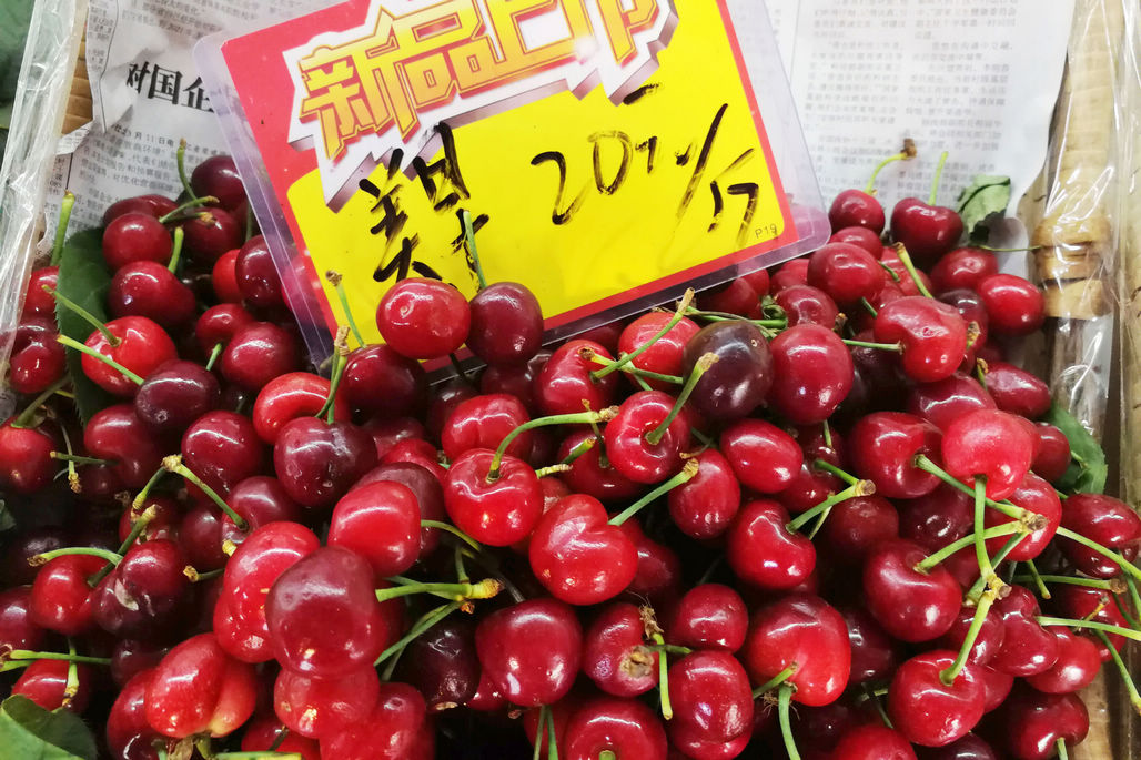 菜市场樱珠最低15元一斤 小樱桃15元2斤 不温不火-搜狐大视野-搜狐新闻