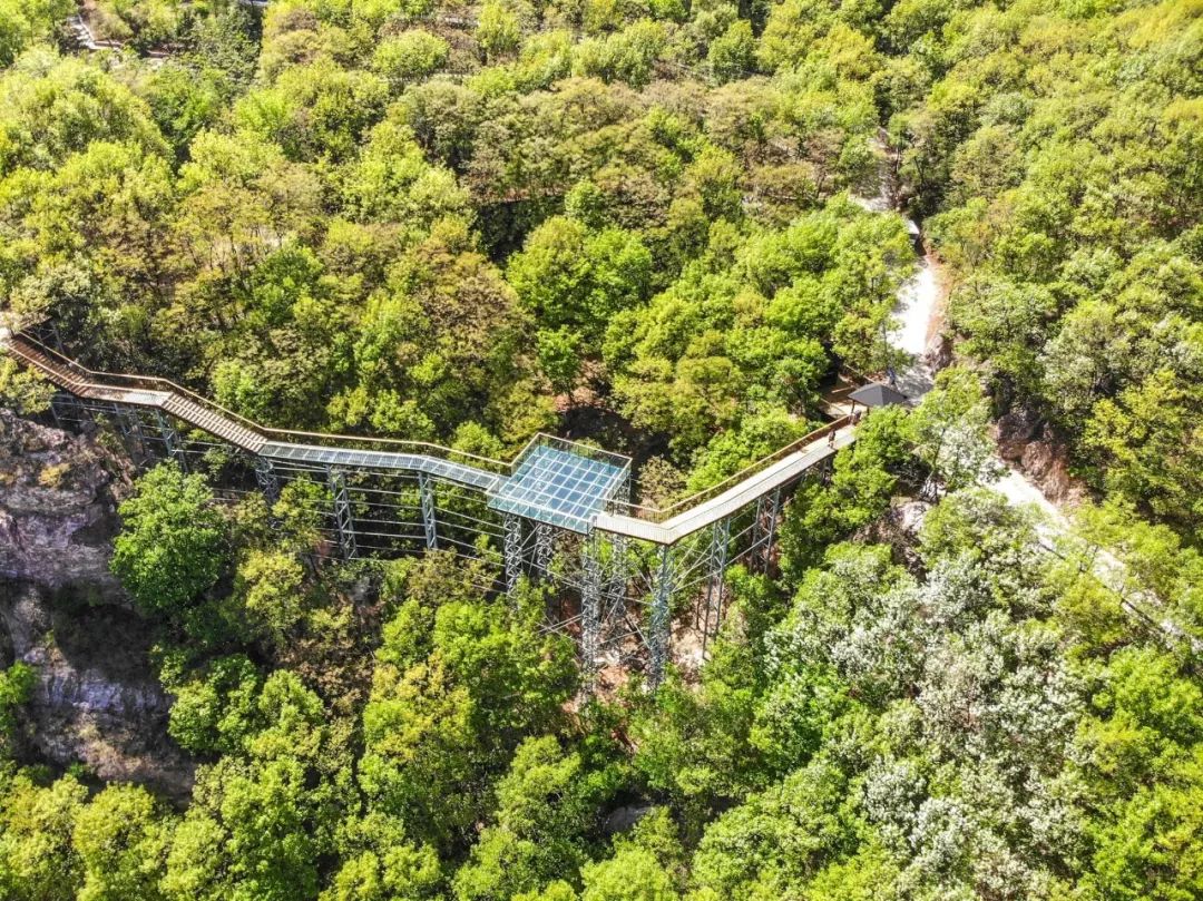 88元人5月12日周日约伴登封摘星楼休闲一日游