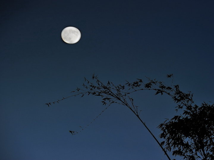 孤020202月现代诗