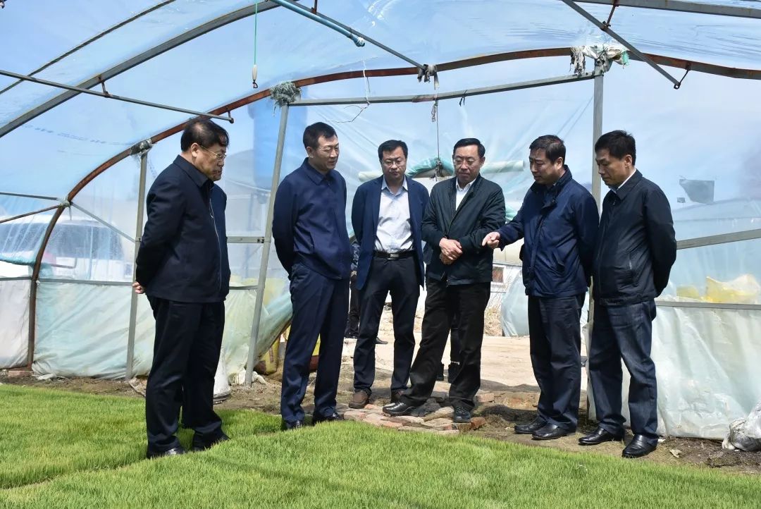 我市市委书记陈立新,市委副书记,市长殷洪亮,市委常委,副市长温永豹