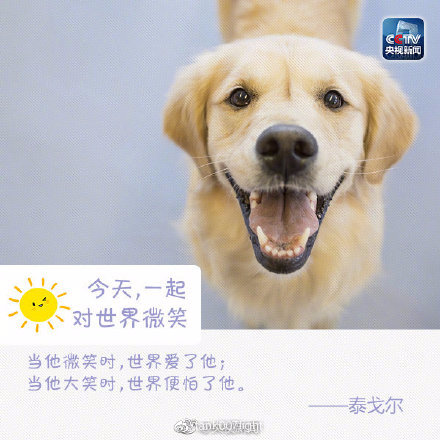 今天是世界微笑日微笑面对生活