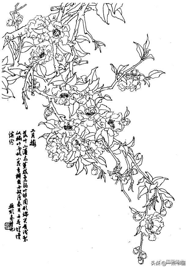 軨ͼ()_