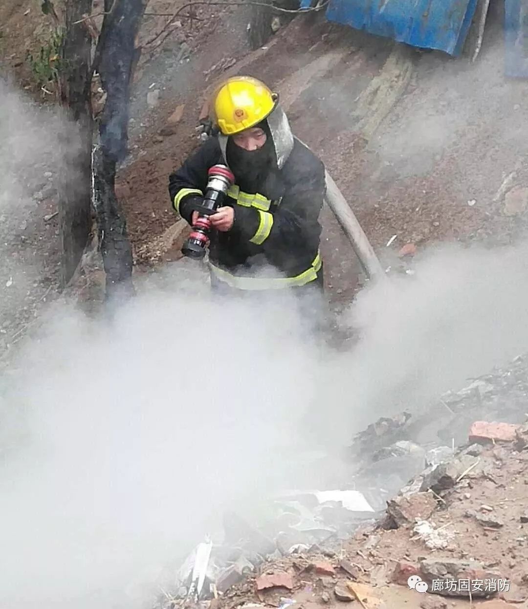 杨柳絮漫天飞舞防火安全莫轻视