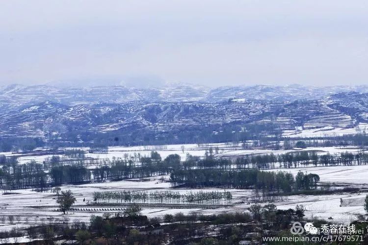 【图说】忻州庄磨镇又一组美照流出来啦,大家快看