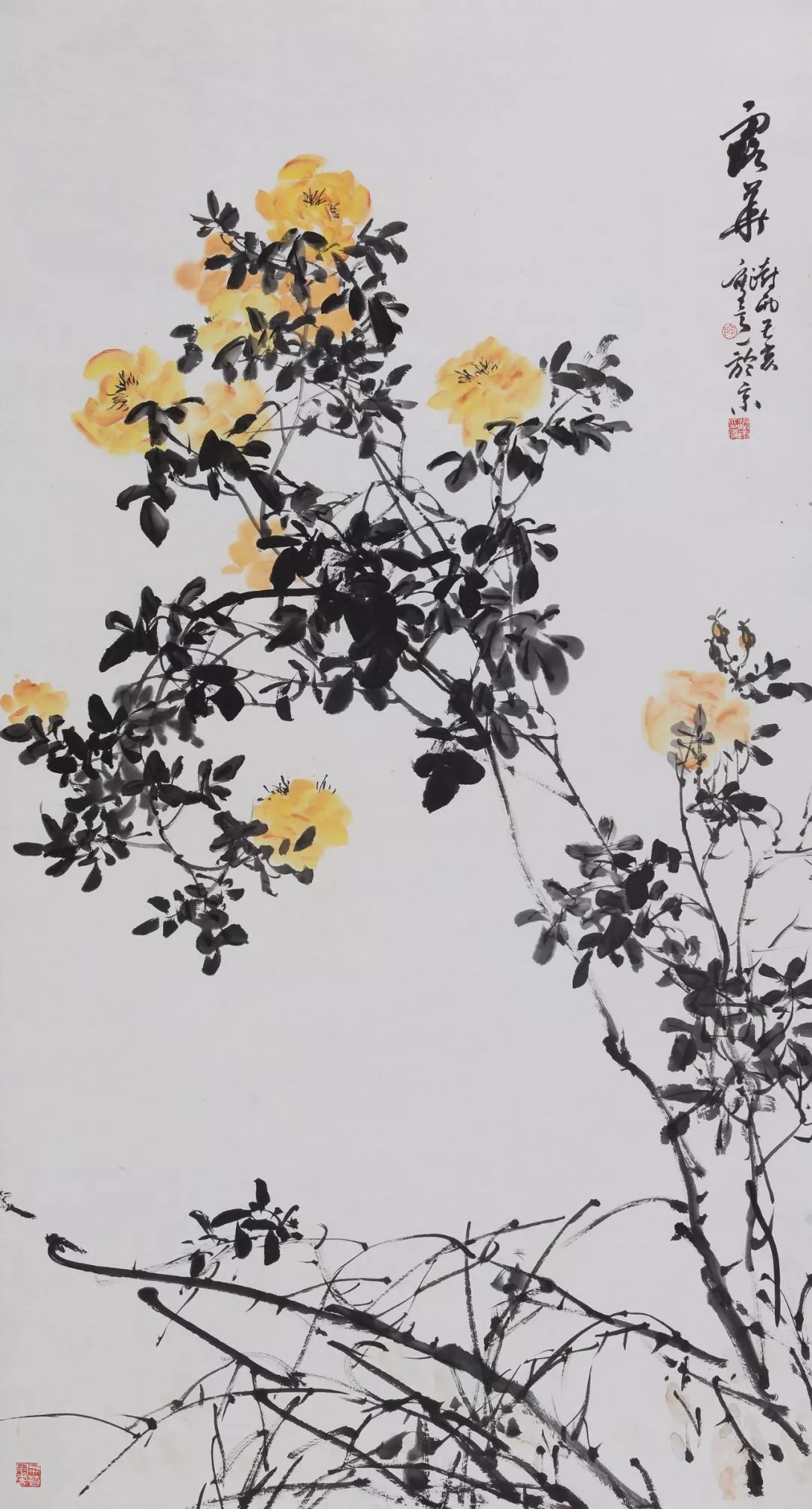 展览预告 | 观物之生——阴澍雨中国画作品展