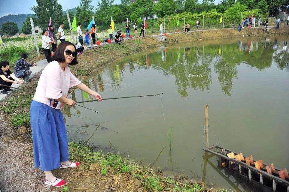 庐江这个地方举办的龙虾垂钓大赛龙虾免费带走还有奖品