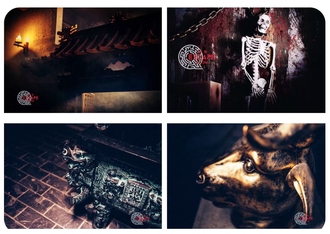 信为福利drq密室逃脱代金劵大放送刺激肾上腺素的机会千万别错过